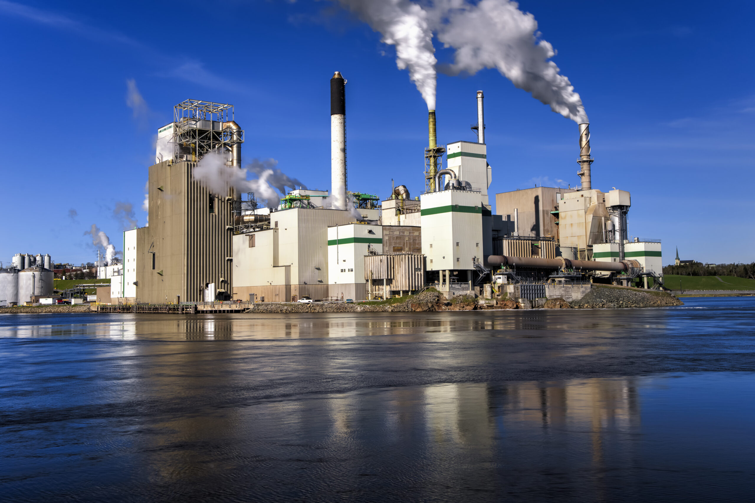 Pulp & Paper Pulp & Paper